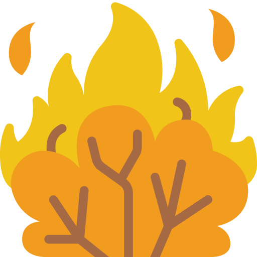 bushfire icon
