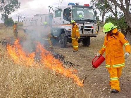 reducing bushfire hazards