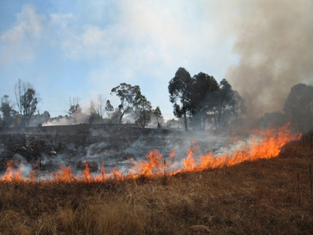 small grassfire