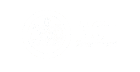 ACT government